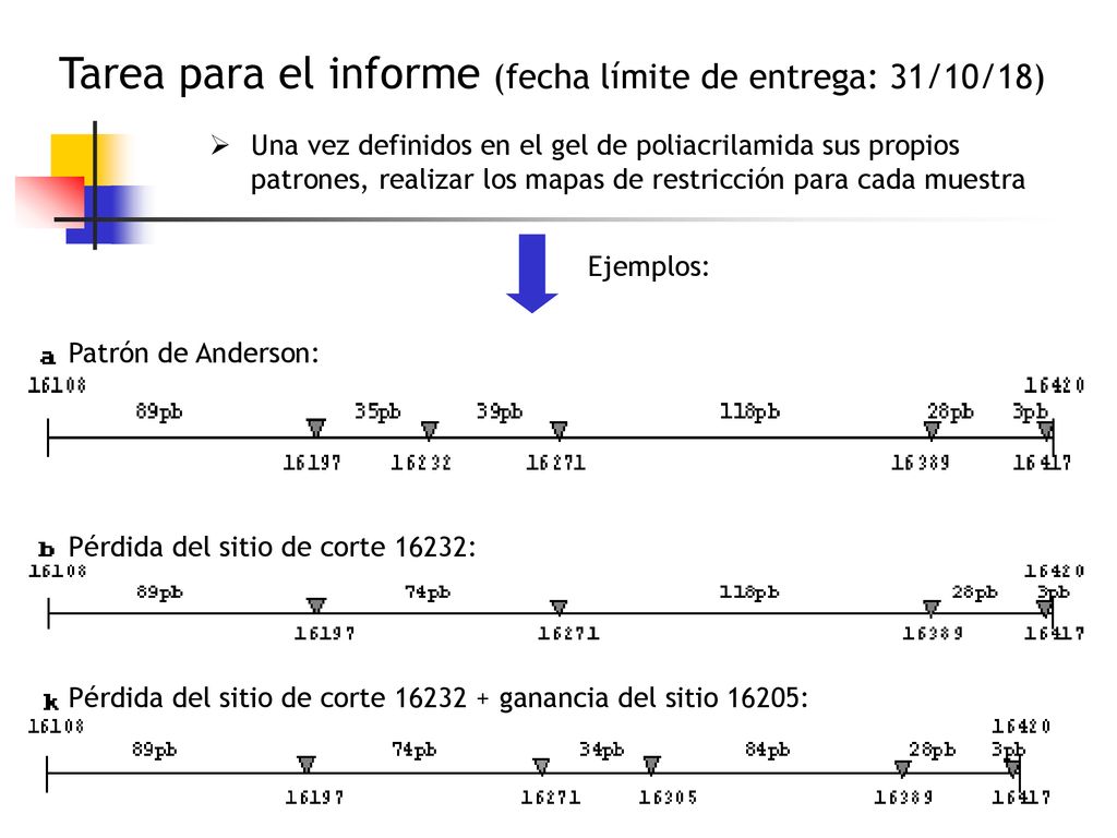 Tarea para el informe (fecha límite de entrega: 31/10/18)