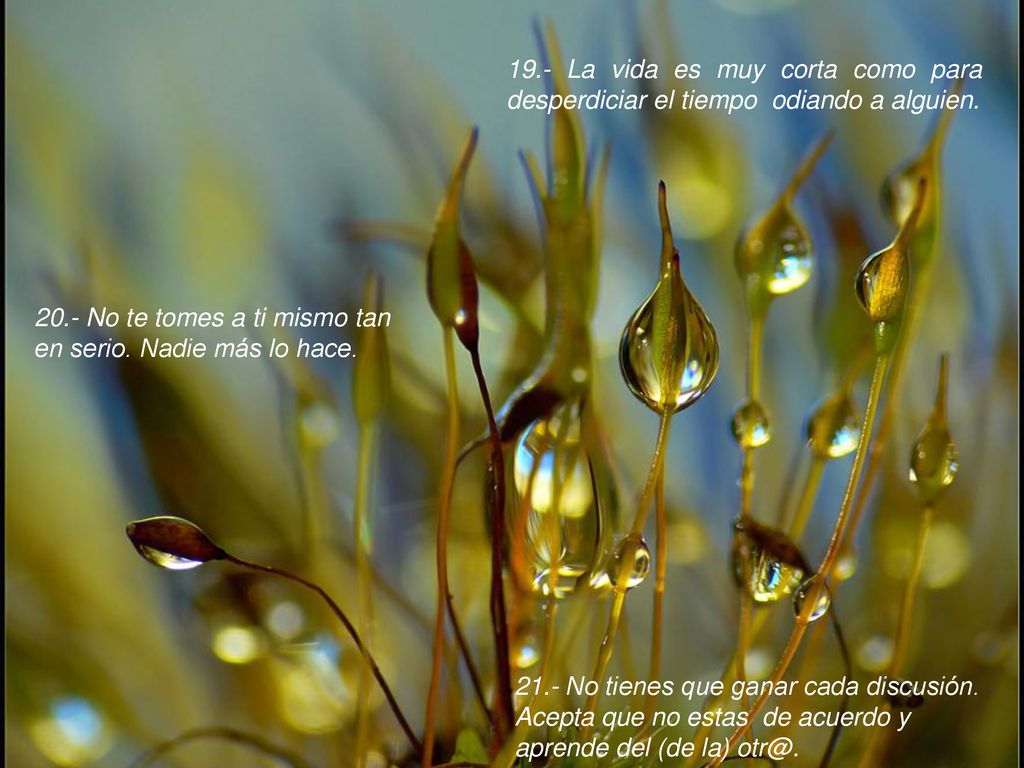 19.- La vida es muy corta como para desperdiciar el tiempo odiando a alguien.