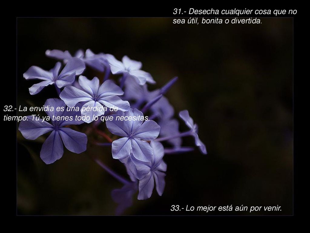 31.- Desecha cualquier cosa que no sea útil, bonita o divertida.