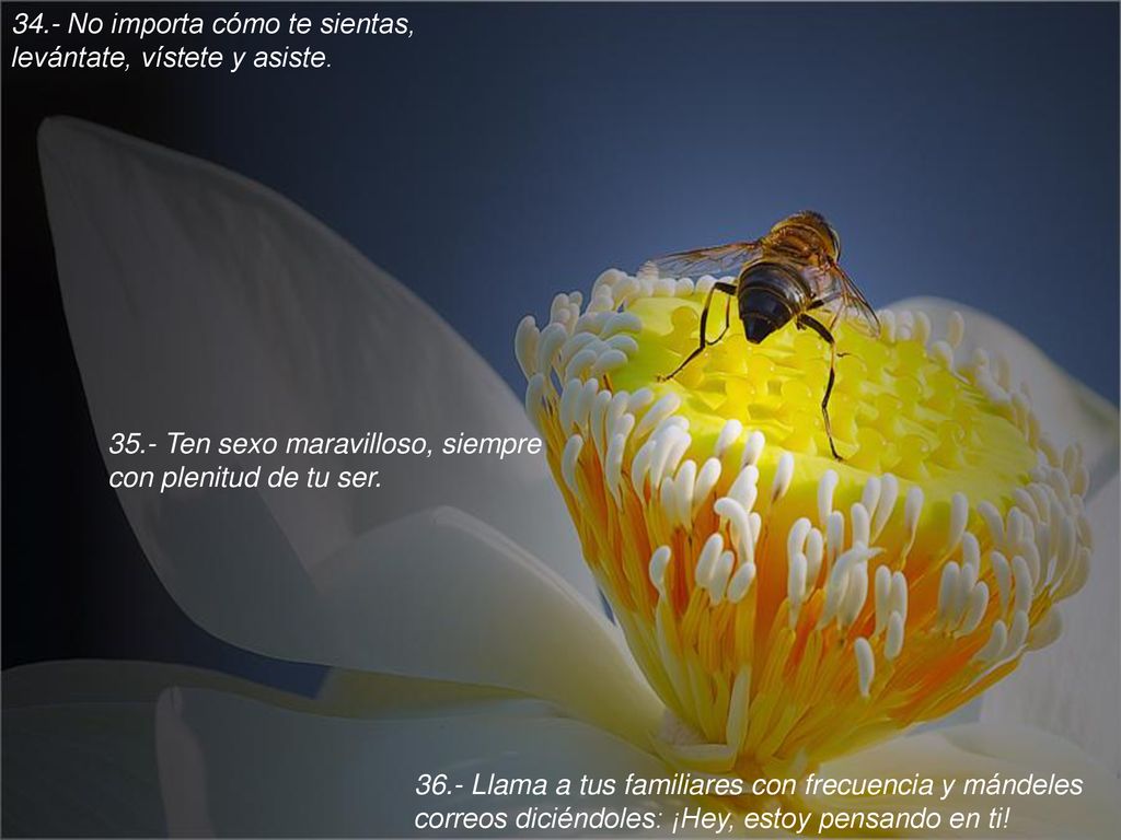 34.- No importa cómo te sientas, levántate, vístete y asiste.