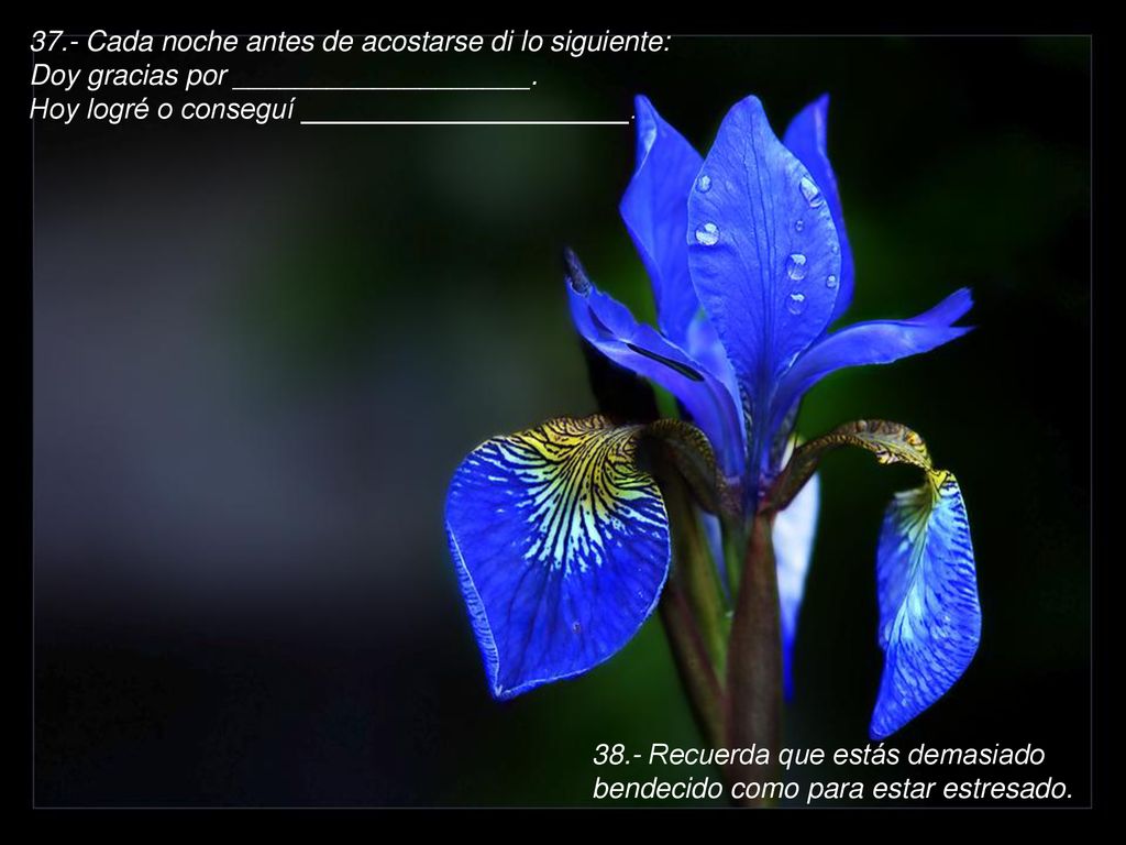 37.- Cada noche antes de acostarse di lo siguiente: Doy gracias por ___________________. Hoy logré o conseguí _____________________.