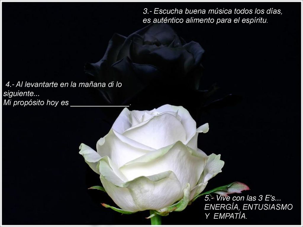 3.- Escucha buena música todos los días, es auténtico alimento para el espíritu.