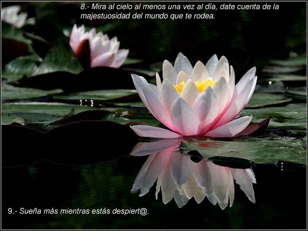 8.- Mira al cielo al menos una vez al día, date cuenta de la majestuosidad del mundo que te rodea.