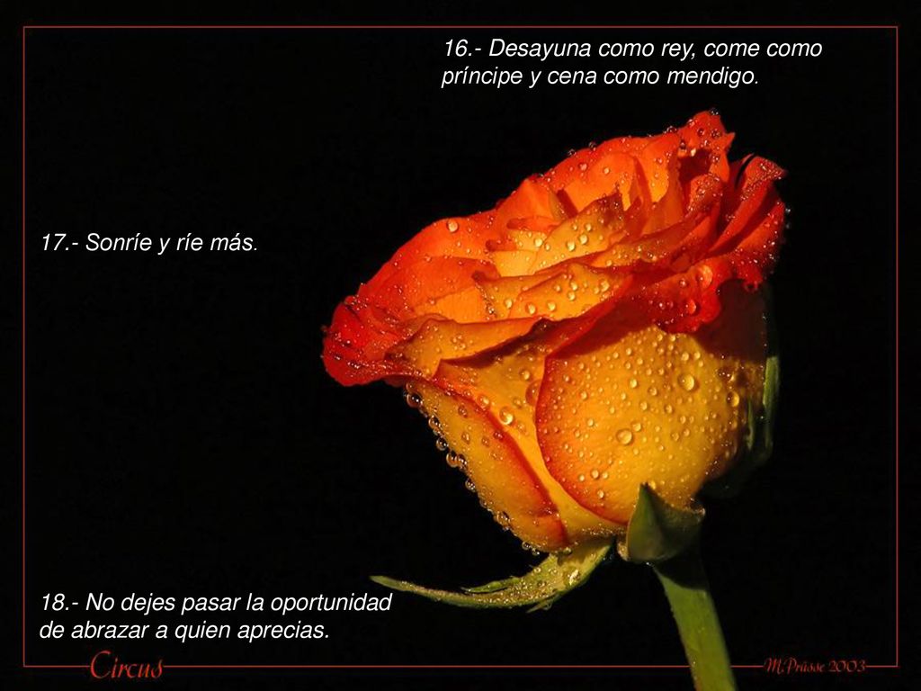 16.- Desayuna como rey, come como príncipe y cena como mendigo.
