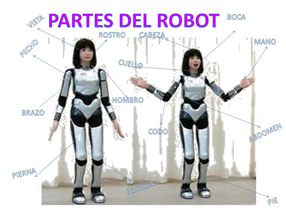 PARTES DEL ROBOT BOCA VISTA ROSTRO CABEZA MANO PECHO CUELLO HOMBRO