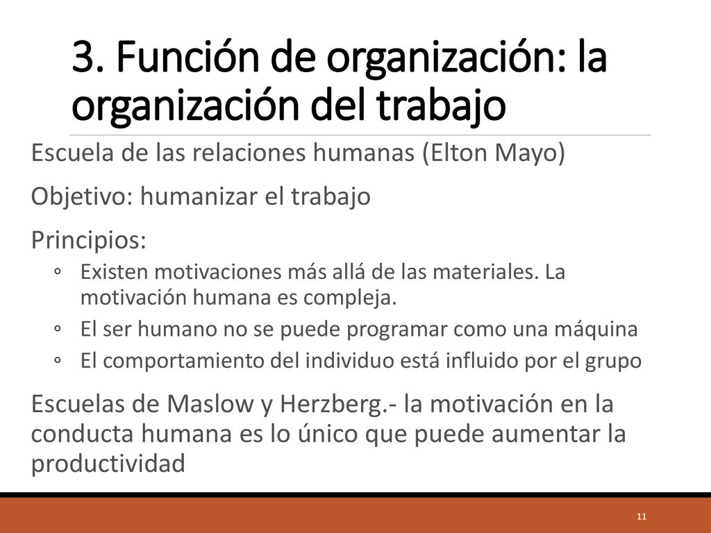 3. Función de organización: la organización del trabajo
