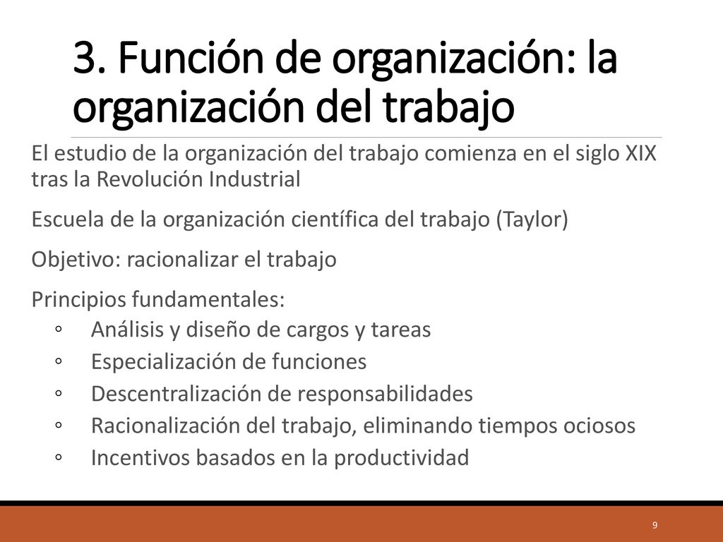 3. Función de organización: la organización del trabajo