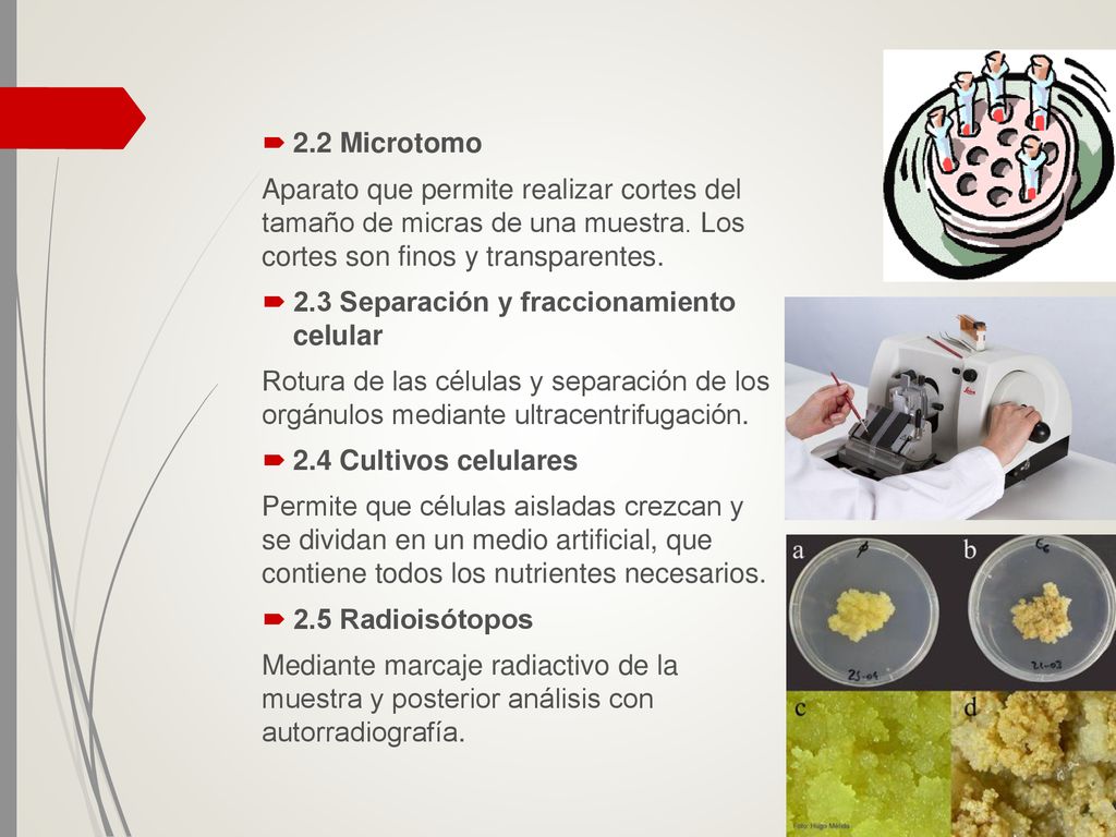 2.2 Microtomo Aparato que permite realizar cortes del tamaño de micras de una muestra. Los cortes son finos y transparentes.