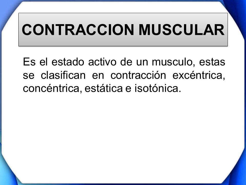 CONTRACCION MUSCULAR Es el estado activo de un musculo, estas se clasifican en contracción excéntrica, concéntrica, estática e isotónica.