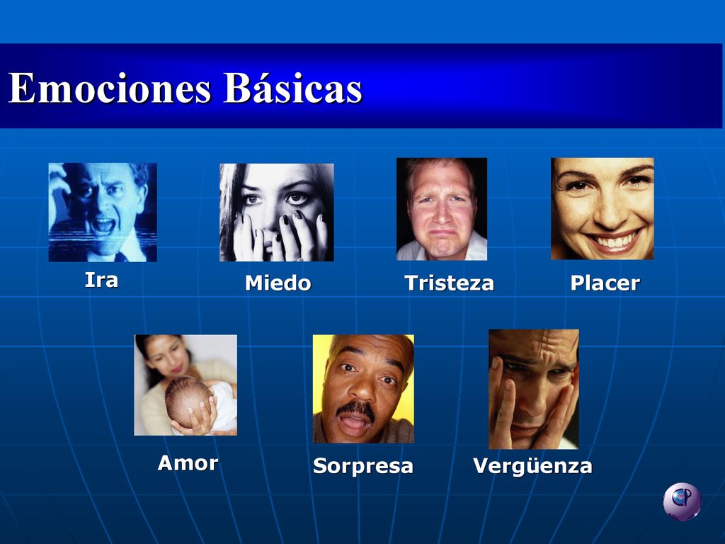 Emociones Básicas Ira Miedo Tristeza Placer Amor Sorpresa Vergüenza