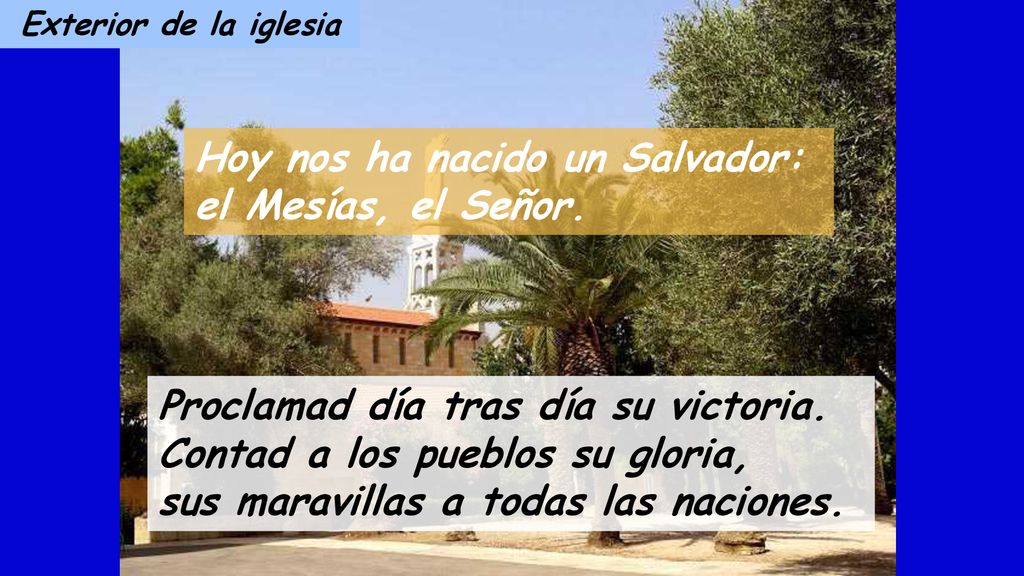 Hoy nos ha nacido un Salvador: el Mesías, el Señor.