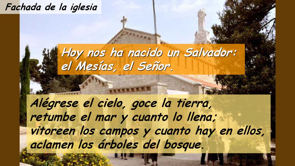 Hoy nos ha nacido un Salvador: el Mesías, el Señor.