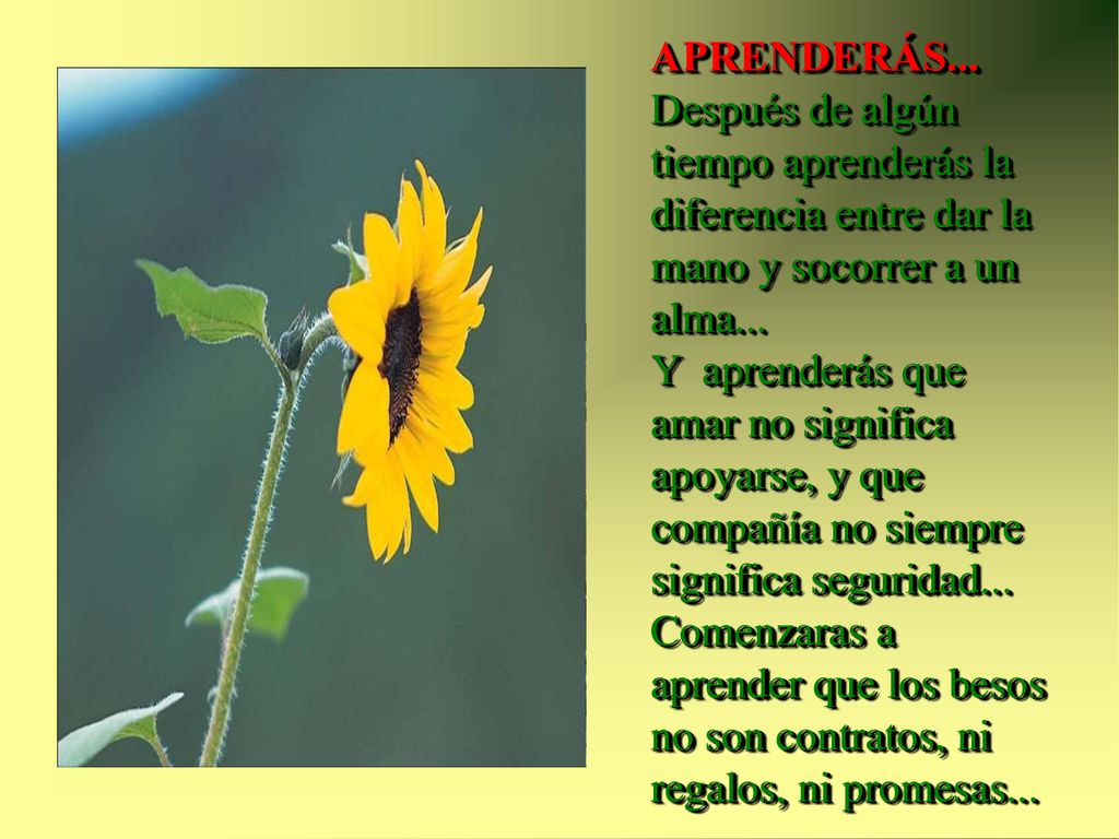 APRENDERÁS... Después de algún tiempo aprenderás la diferencia entre dar la mano y socorrer a un alma...