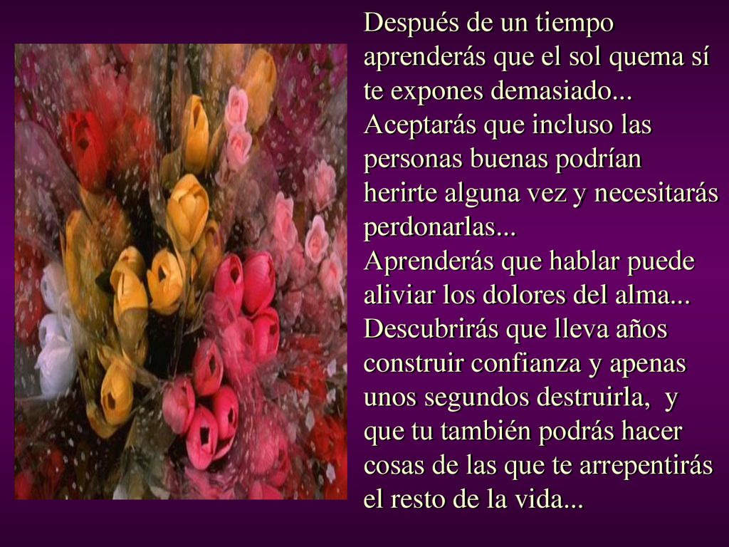 Después de un tiempo aprenderás que el sol quema sí te expones demasiado...
