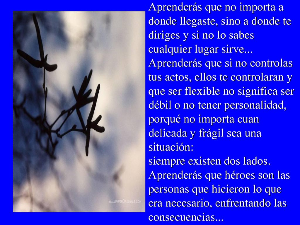 Aprenderás que no importa a donde llegaste, sino a donde te diriges y si no lo sabes cualquier lugar sirve...