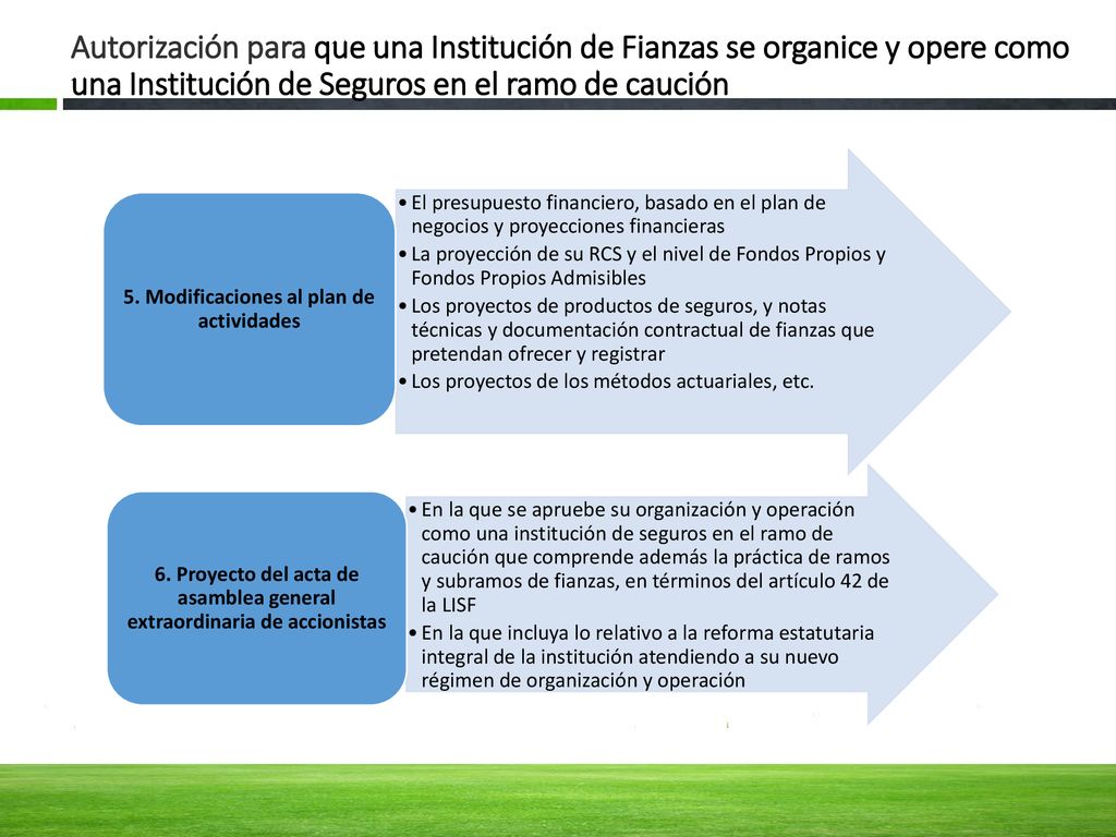 Autorización para que una Institución de Fianzas se organice y opere como una Institución de Seguros en el ramo de caución