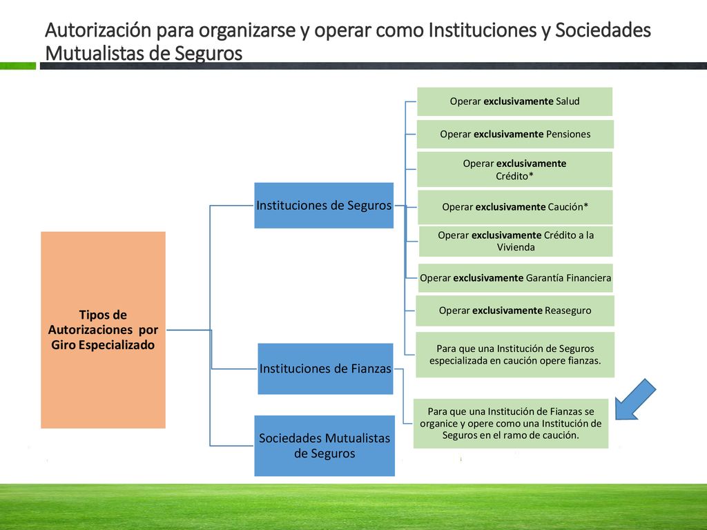 Tipos de Autorizaciones por Giro Especializado