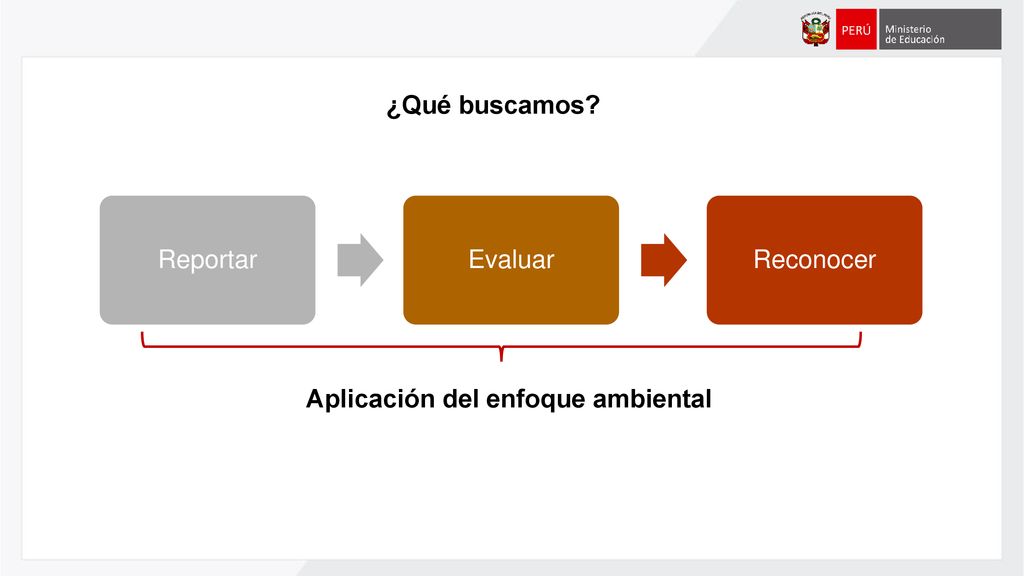 ¿Qué buscamos Reportar Evaluar Reconocer Aplicación del enfoque ambiental