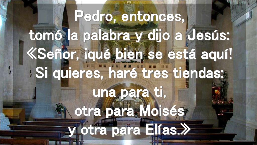 Pedro, entonces, tomó la palabra y dijo a Jesús: «Señor, ¡qué bien se está aquí.