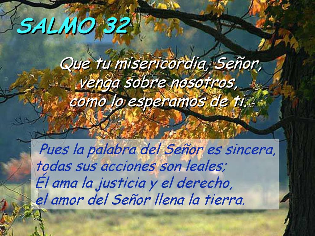 SALMO 32 Que tu misericordia, Señor, venga sobre nosotros, como lo esperamos de ti.
