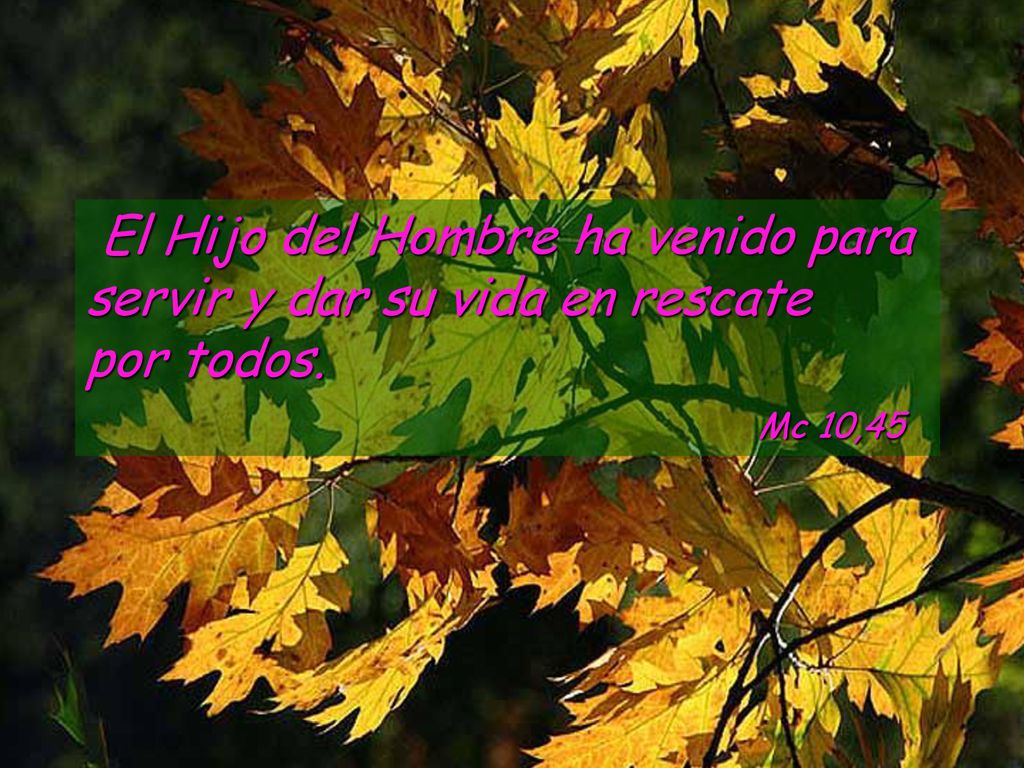 El Hijo del Hombre ha venido para servir y dar su vida en rescate por todos.