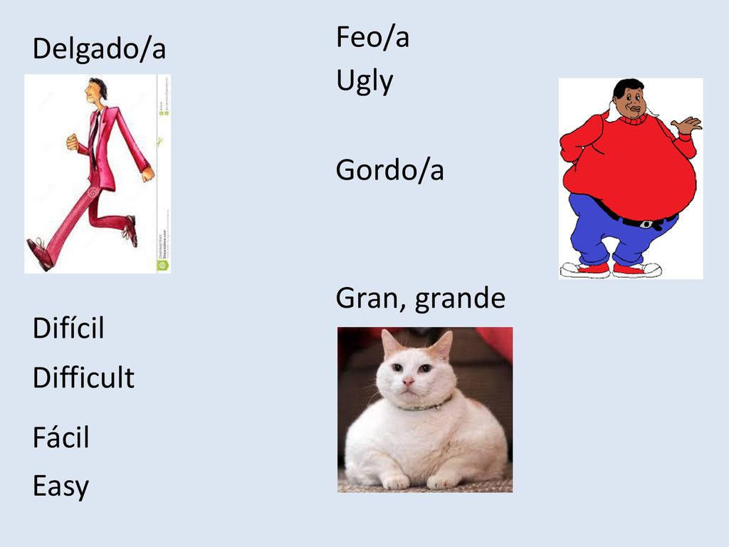 Feo/a Delgado/a Ugly Gordo/a Gran, grande Difícil Difficult Fácil Easy