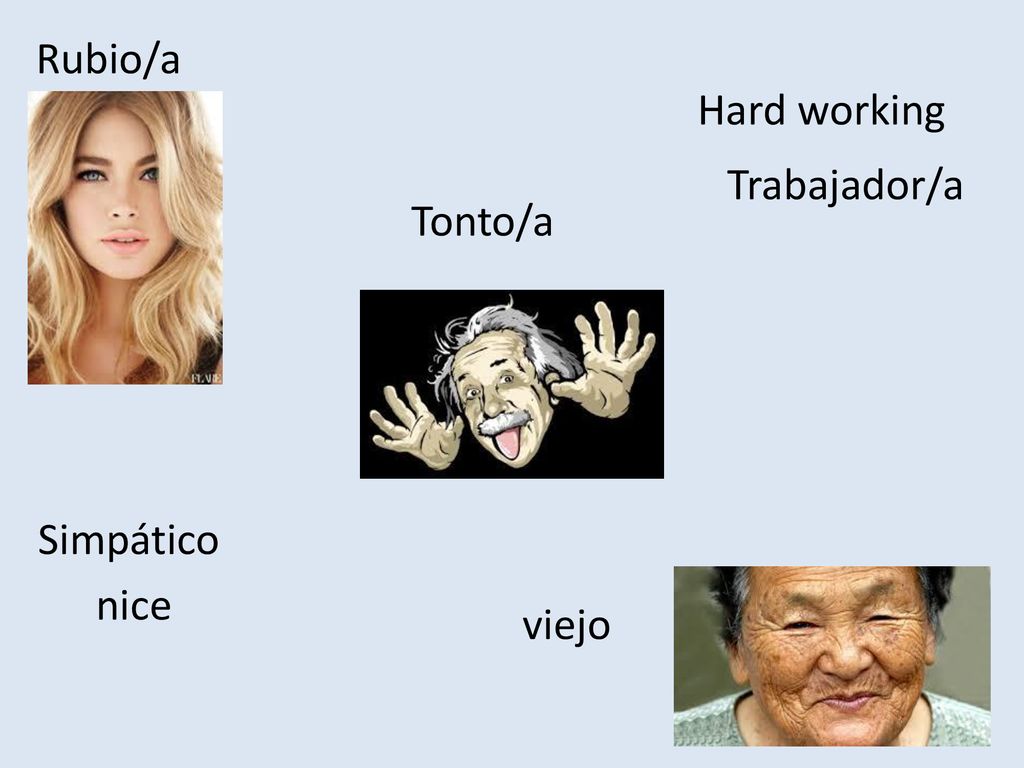 Rubio/a Hard working Trabajador/a Tonto/a Simpático nice viejo