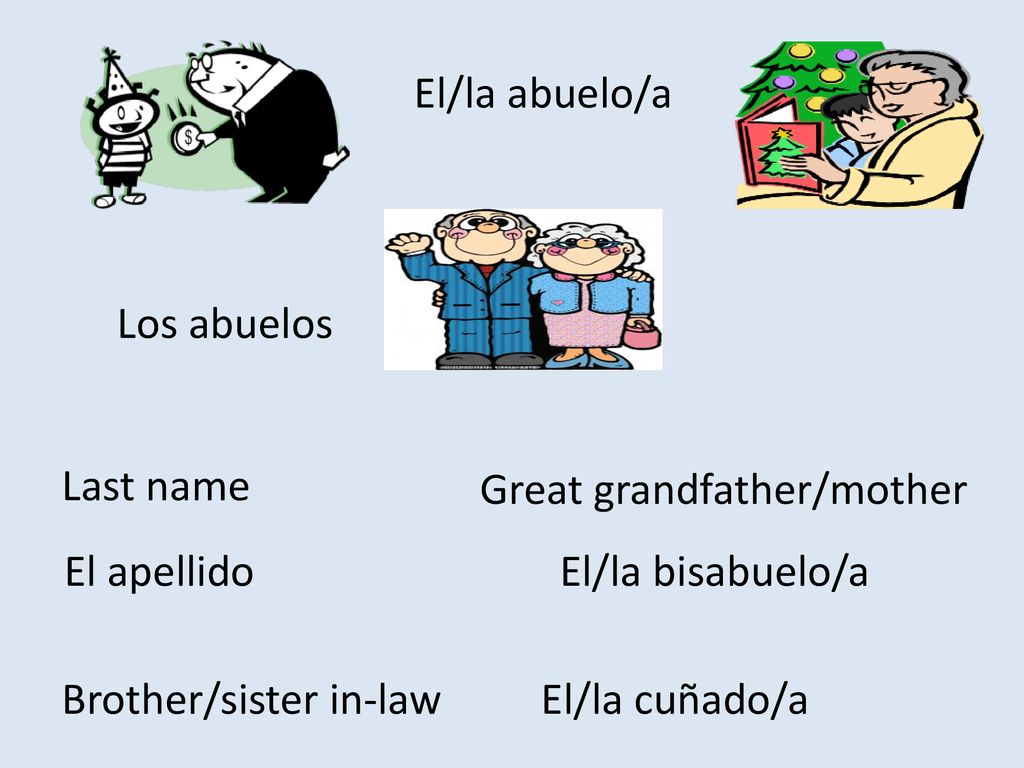 El/la abuelo/a Los abuelos. Last name. Great grandfather/mother. El apellido. El/la bisabuelo/a.