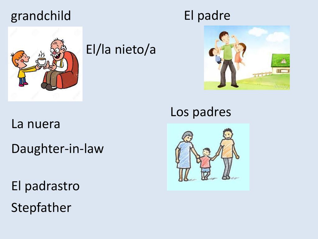 grandchild El padre El/la nieto/a Los padres La nuera Daughter-in-law El padrastro Stepfather