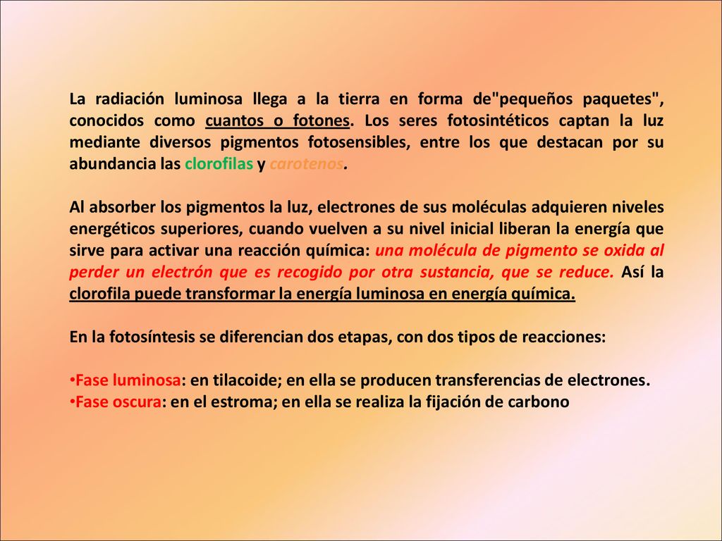 La radiación luminosa llega a la tierra en forma de pequeños paquetes , conocidos como cuantos o fotones. Los seres fotosintéticos captan la luz mediante diversos pigmentos fotosensibles, entre los que destacan por su abundancia las clorofilas y carotenos.