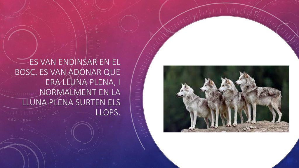 Es van endinsar en el bosc, es van adonar que era lluna plena, i normalment en la lluna plena surten els llops.
