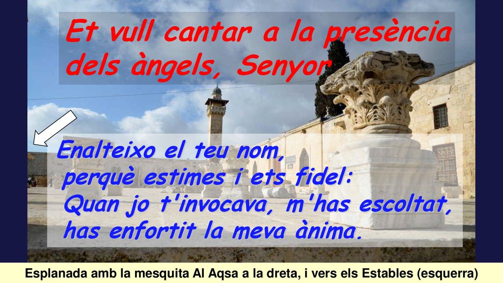 Et vull cantar a la presència dels àngels, Senyor