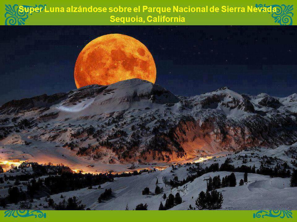 Super Luna alzándose sobre el Parque Nacional de Sierra Nevada Sequoia, California