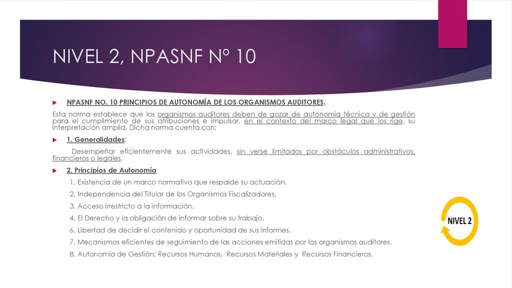 NIVEL 2, NPASNF Nº 10 NPASNF NO. 10 PRINCIPIOS DE AUTONOMÍA DE LOS ORGANISMOS AUDITORES.