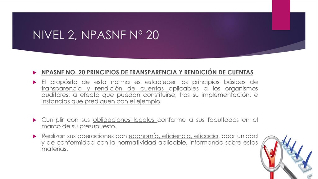 NIVEL 2, NPASNF Nº 20 NPASNF NO. 20 PRINCIPIOS DE TRANSPARENCIA Y RENDICIÓN DE CUENTAS.