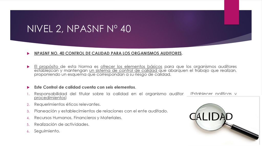 NIVEL 2, NPASNF Nº 40 NPASNF NO. 40 CONTROL DE CALIDAD PARA LOS ORGANISMOS AUDITORES.