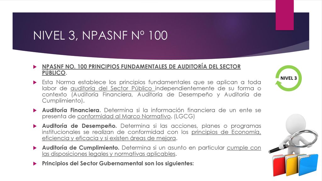 NIVEL 3, NPASNF Nº 100 NPASNF NO. 100 PRINCIPIOS FUNDAMENTALES DE AUDITORÍA DEL SECTOR PÚBLICO.