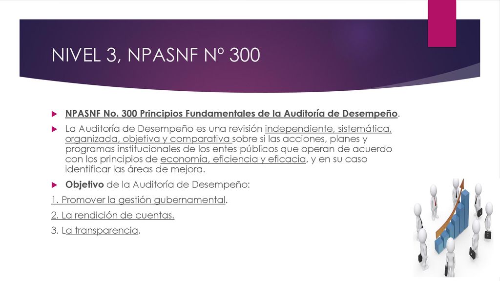 NIVEL 3, NPASNF Nº 300 NPASNF No. 300 Principios Fundamentales de la Auditoría de Desempeño.