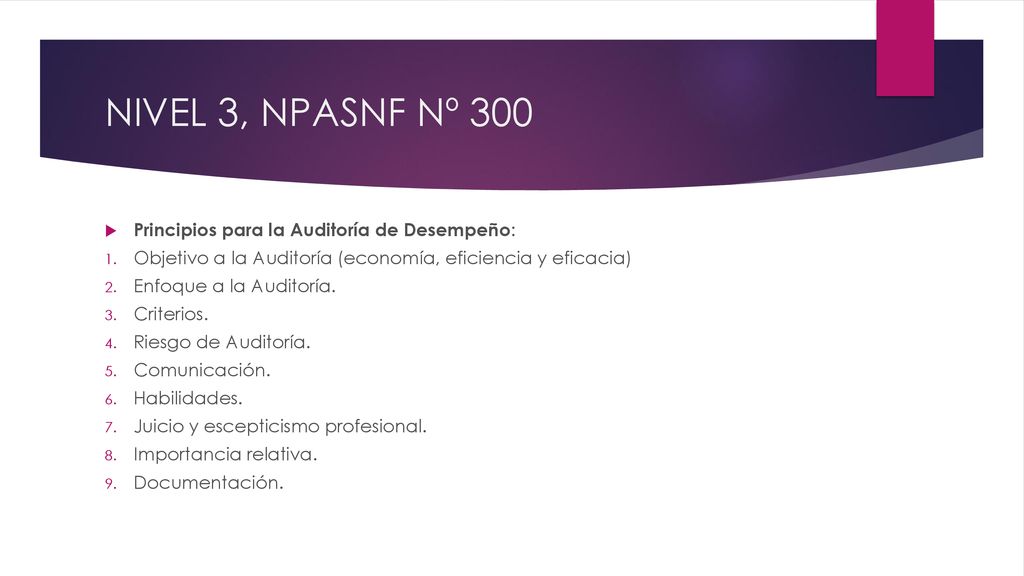 NIVEL 3, NPASNF Nº 300 Principios para la Auditoría de Desempeño: