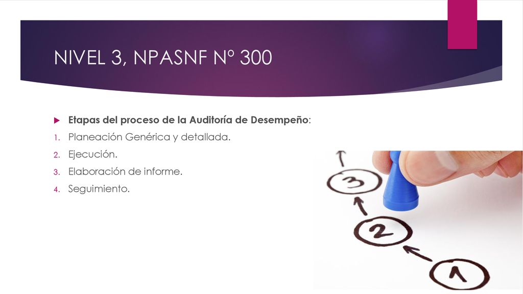 NIVEL 3, NPASNF Nº 300 Etapas del proceso de la Auditoría de Desempeño: Planeación Genérica y detallada.