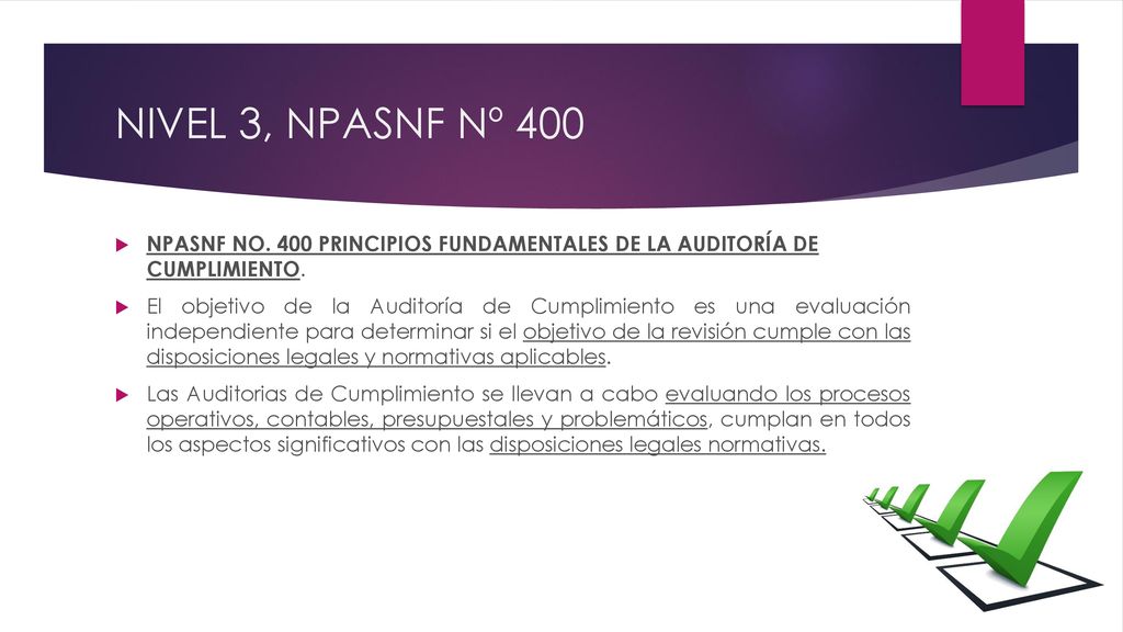 NIVEL 3, NPASNF Nº 400 NPASNF NO. 400 PRINCIPIOS FUNDAMENTALES DE LA AUDITORÍA DE CUMPLIMIENTO.