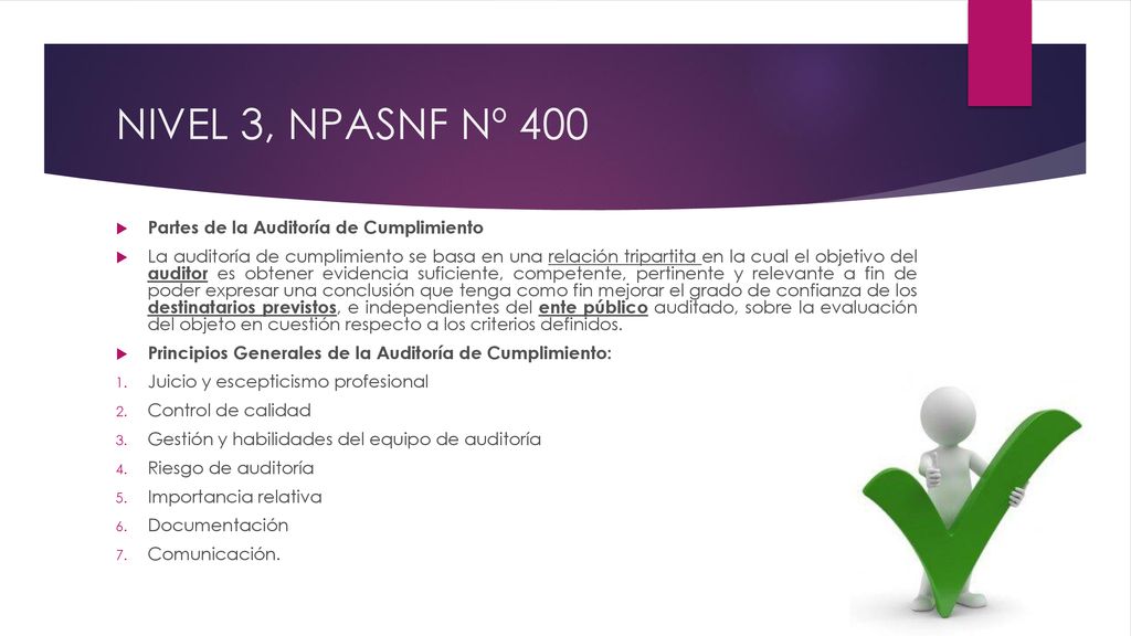 NIVEL 3, NPASNF Nº 400 Partes de la Auditoría de Cumplimiento
