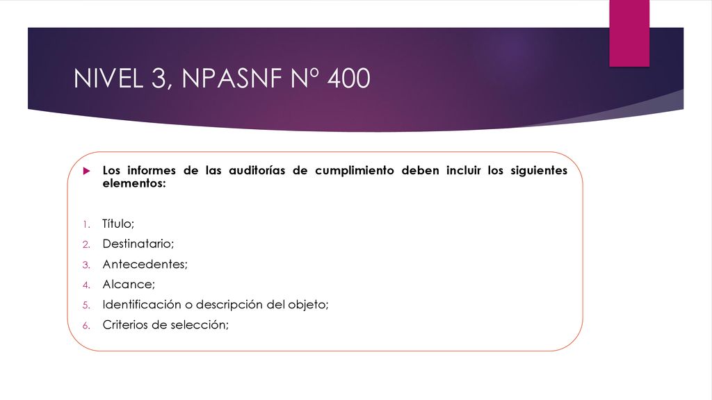 NIVEL 3, NPASNF Nº 400 Los informes de las auditorías de cumplimiento deben incluir los siguientes elementos: