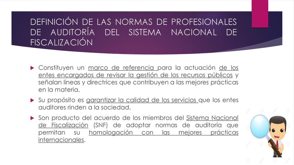 DEFINICIÓN DE LAS NORMAS DE PROFESIONALES DE AUDITORÍA DEL SISTEMA NACIONAL DE FISCALIZACIÓN