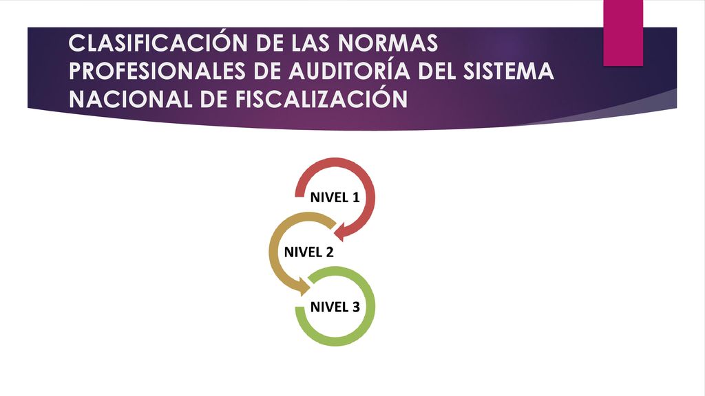 CLASIFICACIÓN DE LAS NORMAS PROFESIONALES DE AUDITORÍA DEL SISTEMA NACIONAL DE FISCALIZACIÓN