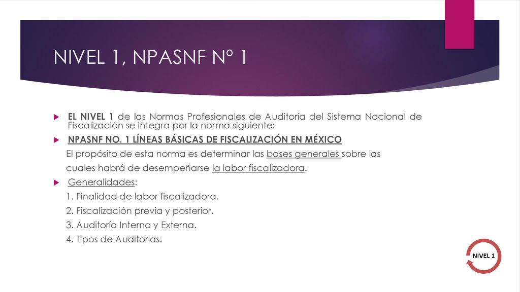 NIVEL 1, NPASNF Nº 1 EL NIVEL 1 de las Normas Profesionales de Auditoría del Sistema Nacional de Fiscalización se integra por la norma siguiente: