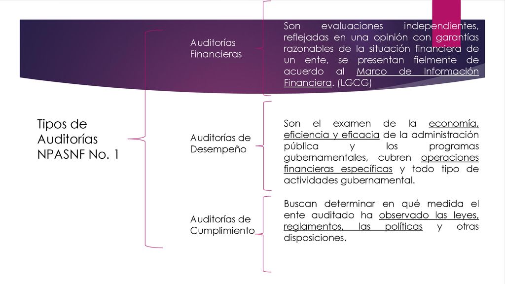 Tipos de Auditorías NPASNF No. 1