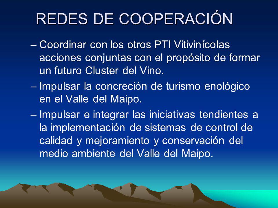 REDES DE COOPERACIÓN Coordinar con los otros PTI Vitivinícolas acciones conjuntas con el propósito de formar un futuro Cluster del Vino.