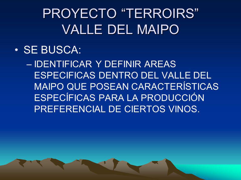 PROYECTO TERROIRS VALLE DEL MAIPO