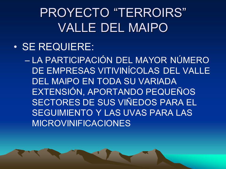 PROYECTO TERROIRS VALLE DEL MAIPO